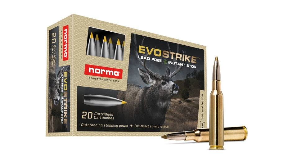 NORMA 6,5x55 SE Evostrike 6,0g/93gr