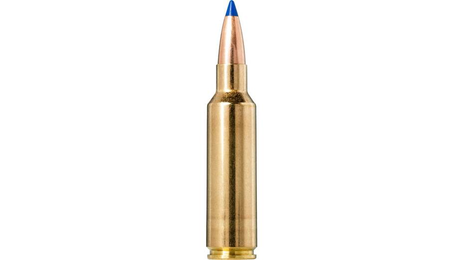 NORMA .300 WSM Bondstrike Extreme 11,7g/180gr