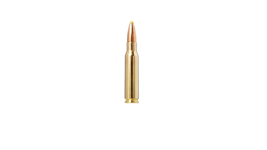 NORMA .308 Win. Plastic point 11,7g/180gr