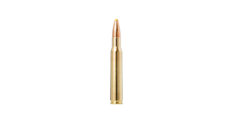 NORMA .30-06 Plastic point 11,7g/180gr