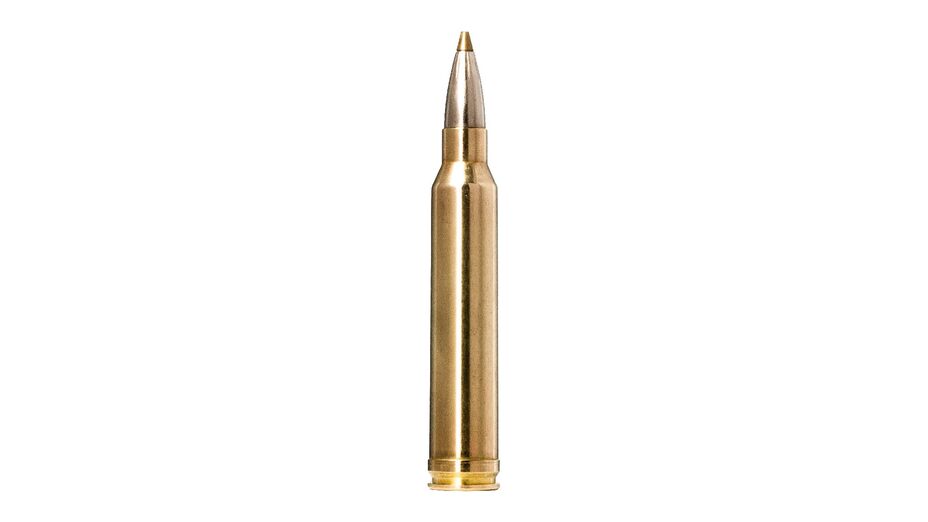 NORMA .300 Win. Mag. Evostrike 9,0g/139gr