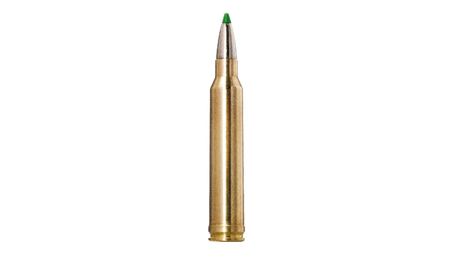 NORMA .300 Win. Mag. Ecostrike 10,7g/165gr