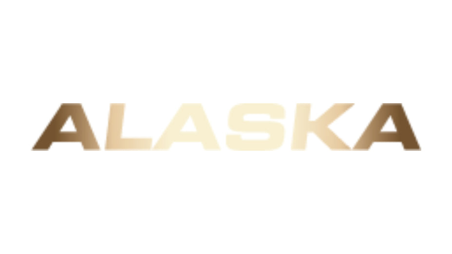 NORMA 9,3x62 Alaska 18,5g/286gr