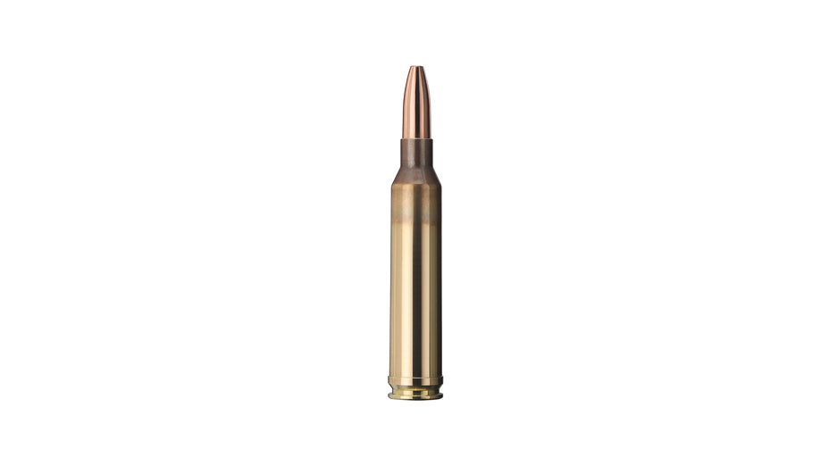 GECO 7mm Rem. Mag. PLUS 11,0g/170gr
