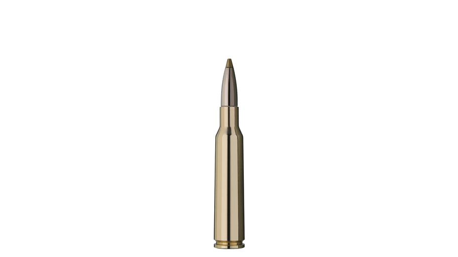 RWS 6,5x55 SE EVOLUTION GREEN 6,0g/93gr