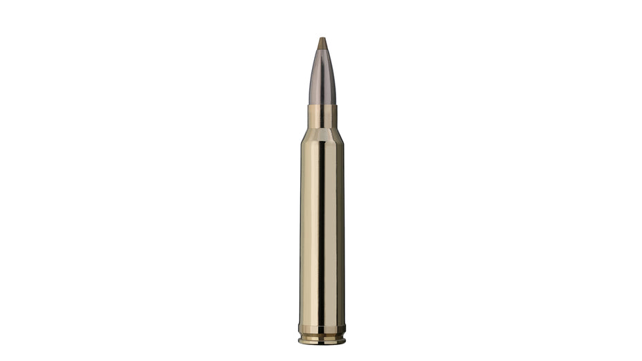 RWS .300 Win. Mag. EVOLUTION GREEN 9,0g/139gr