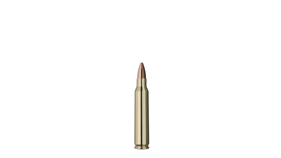 RWS .223 Rem. TARGET ELITE PLUS 3,4g/52gr