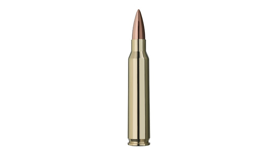 GECO .223 Rem. DTX 3,6g/55gr