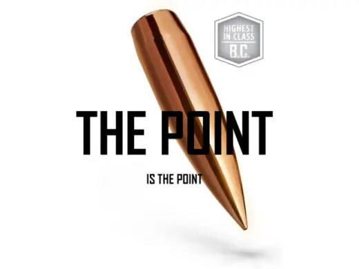 Geschosse Nosler RDF 6mm, dia .243, 105grs