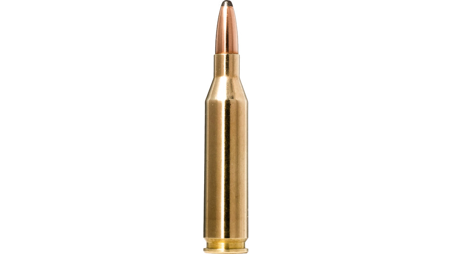 NORMA .243 Win. Whitetail SP 6,5g/100gr