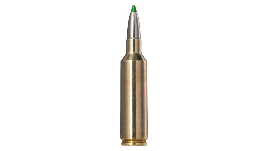 NORMA .270 WSM Ecostrike 8,4g/130gr
