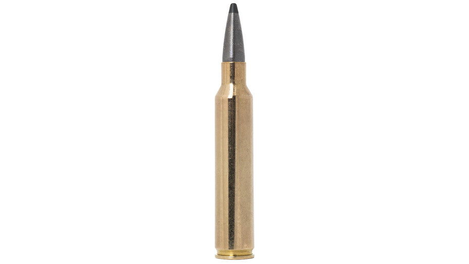 NORMA .300 PRC ODIN 11,7g/180gr