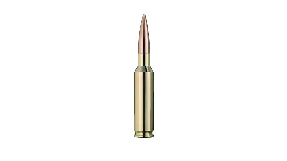 RWS 6,5 Creedmoor TARGET ELITE PLUS 9,3g/143gr
