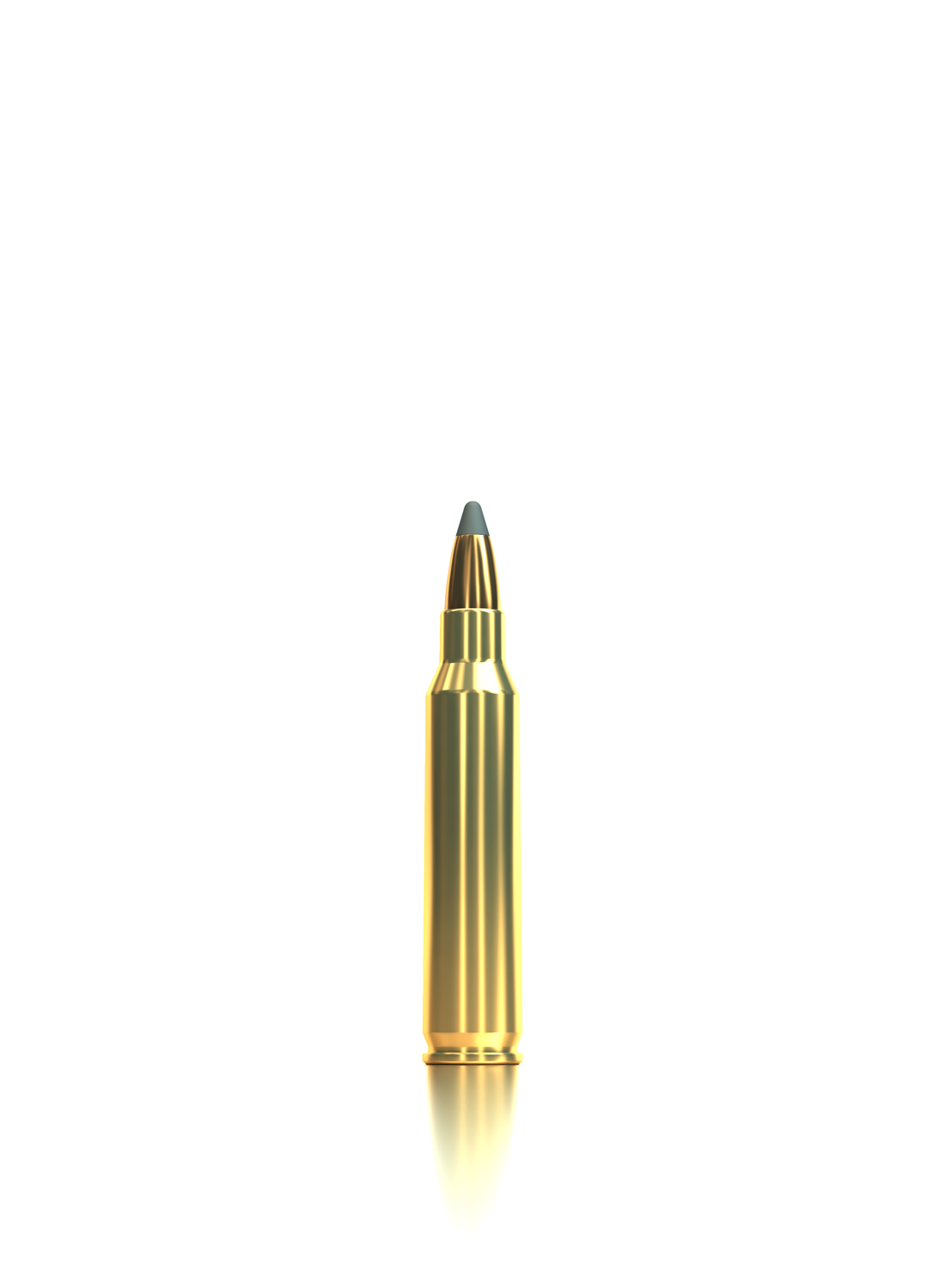 Sellier & Bellot Büchsenmunition SCREEN-Ammo .223 Rem 2,6g Screen (Lead Free) Schüttpackung mit