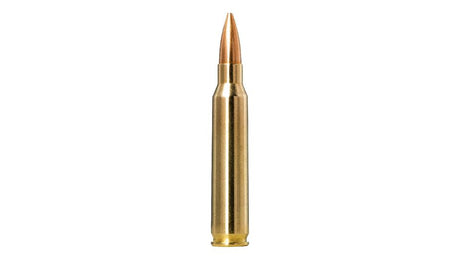 NORMA .223 Rem. Golden Target 4,5g/69gr