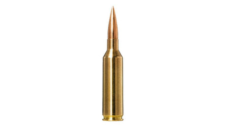 NORMA 6,5 PRC Golden Target 9,3g/143gr