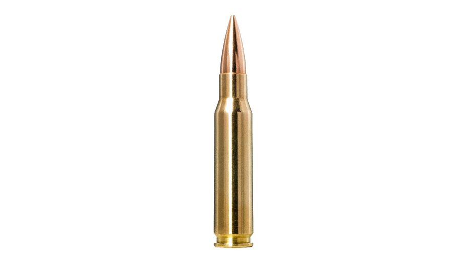 NORMA .308 Win. Golden Target 10,9g/168gr