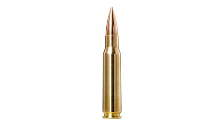 NORMA .308 Win. Golden Target 10,9g/168gr