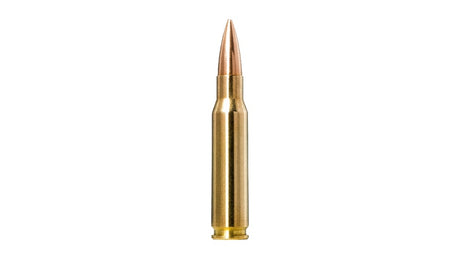 NORMA .308 Win. Golden Target 11,3g/175gr