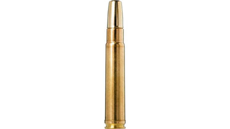 NORMA African PH .416 Taylor Solid 24,3g/375gr