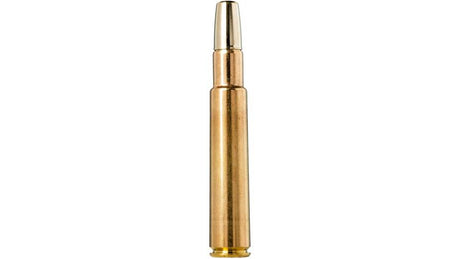 NORMA African PH .416 Rigby Solid 25,9g/400gr