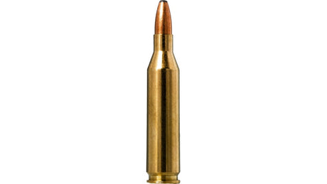 NORMA .243 Win. Oryx 6,5g/100gr