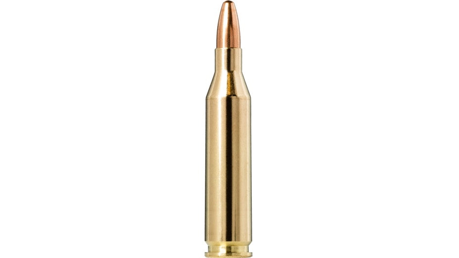 NORMA Jaktmatch .243 Win. FMJ 6,2g/95gr