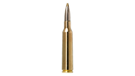 NORMA 6,5x55 SE Evostrike 6,0g/93gr