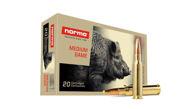 NORMA .308 Win. Plastic point 11,7g/180gr