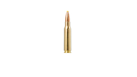NORMA .308 Win. Plastic point 11,7g/180gr