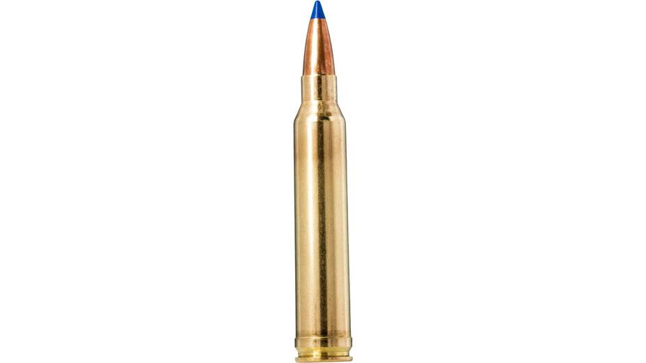 NORMA .300 Win. Mag. Bondstrike Extreme 11,7g/180gr