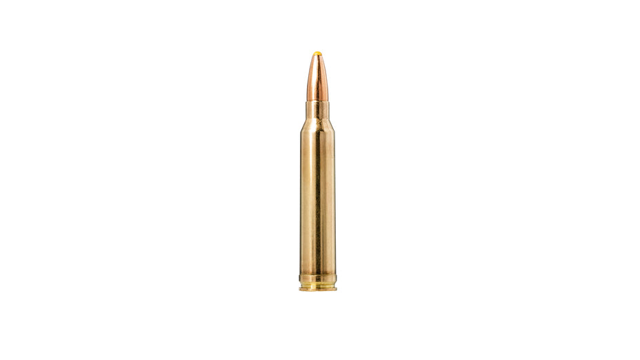 NORMA .300 Win. Mag. Plastic point 11,7g/180gr