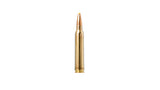 NORMA .300 Win. Mag. Plastic point 11,7g/180gr