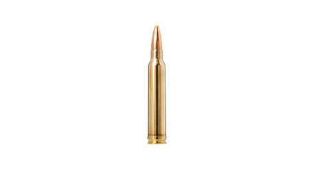 NORMA .300 Win. Mag. Plastic point 11,7g/180gr