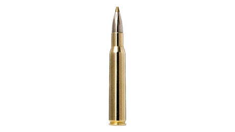 NORMA .30-06 Evostrike 9,0g/139gr