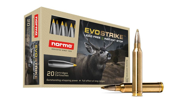NORMA .300 Win. Mag. Evostrike 9,0g/139gr