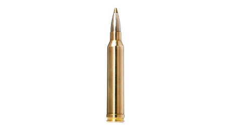 NORMA .300 Win. Mag. Evostrike 9,0g/139gr
