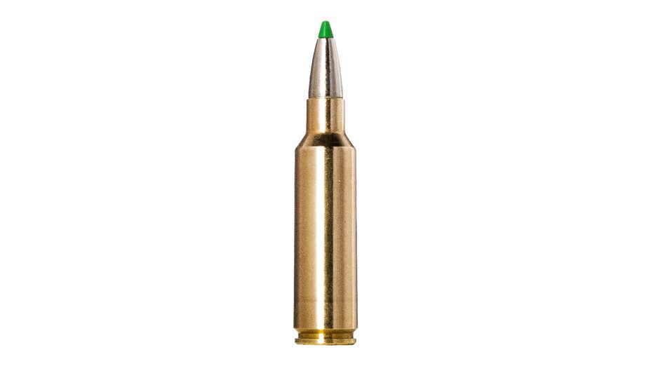 NORMA .300 WSM Ecostrike 10,7g/165gr