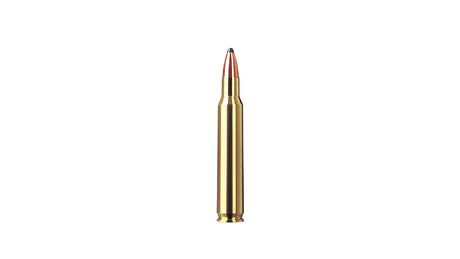RWS 5,6x50 Magnum TMS 4,1g/63gr