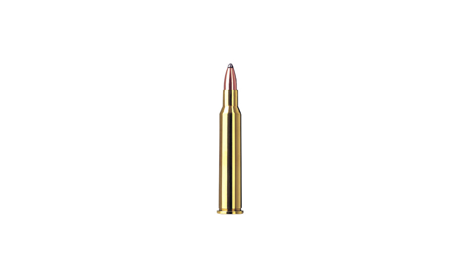 RWS 5,6x50 R Magnum TMS 4,1g/63gr