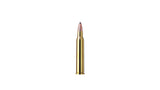 RWS 5,6x50 R Magnum TMS 4,1g/63gr