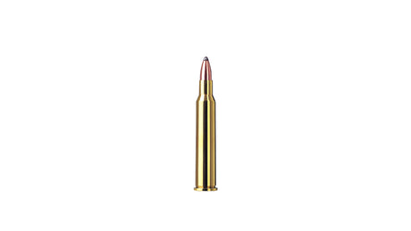 RWS 5,6x50 R Magnum TMS 4,1g/63gr