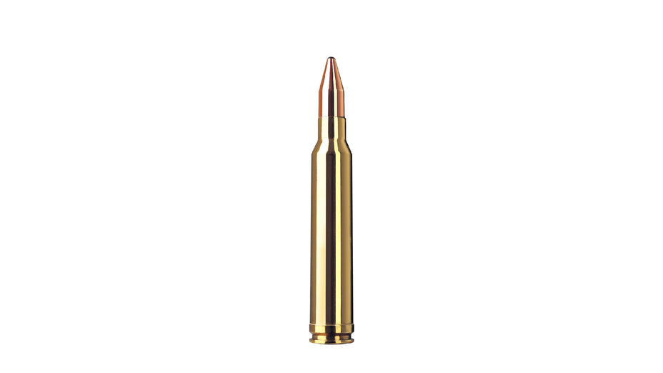 RWS .300 Win. Mag. KS 10,7g/165gr