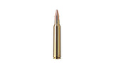 RWS .300 Win. Mag. KS 10,7g/165gr