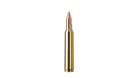RWS .300 Win. Mag. KS 10,7g/165gr