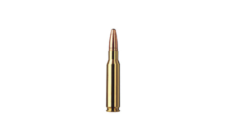 RWS .308 Win. HMK 11,7g/180gr