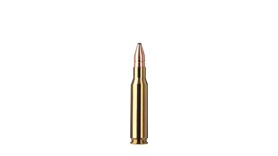 RWS .308 Win. DK 10,7g/165gr