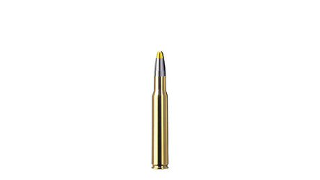 RWS .30-06 EVOLUTION 11,9g/184gr