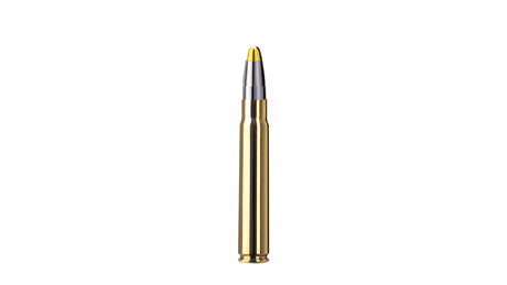 RWS 9,3x62 EVOLUTION 18,8g/291gr