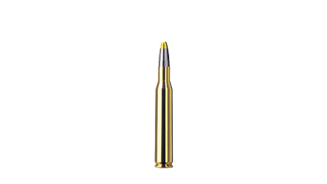 RWS .270 Win. EVOLUTION 10,0g/154gr